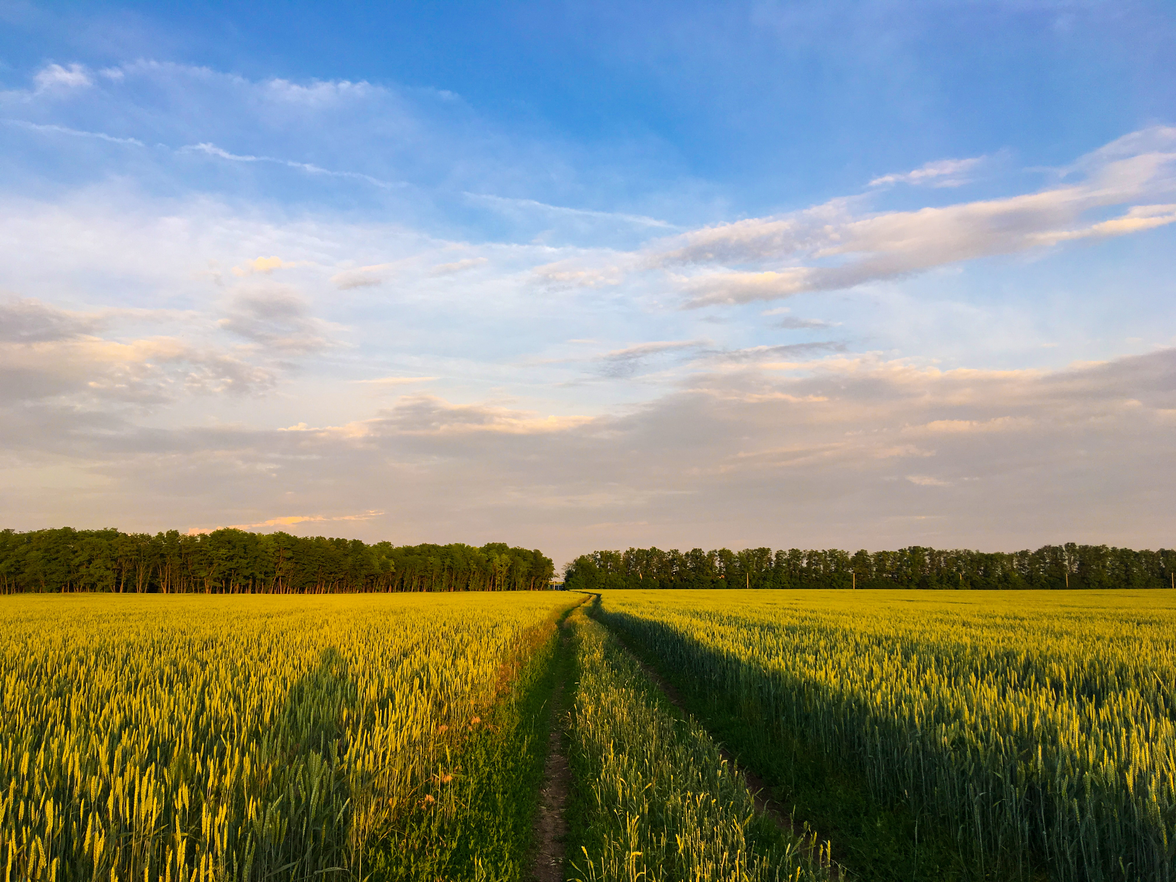 Уникальная бработка фотографии с "живыми цветами"