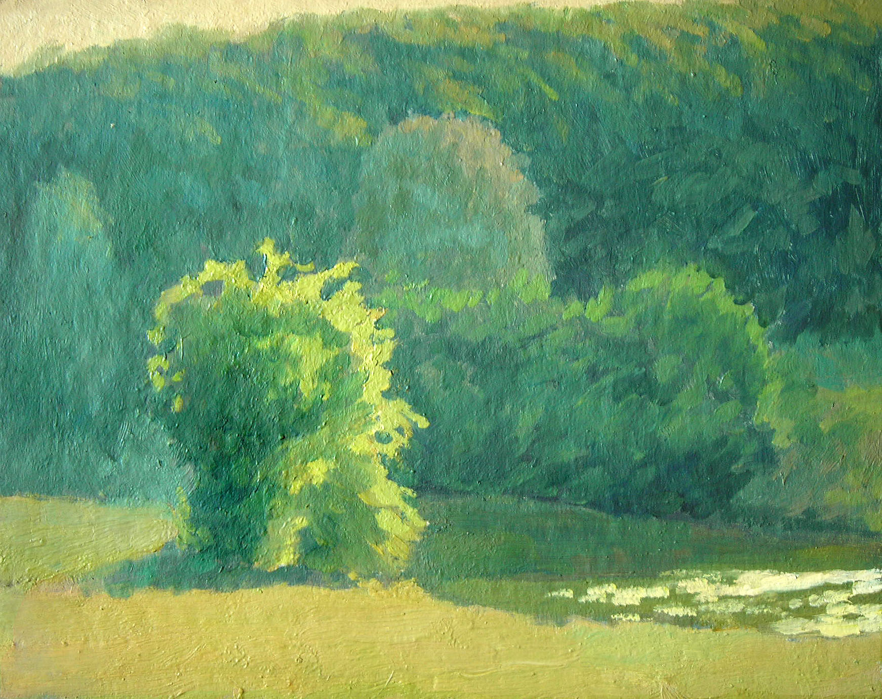 "Свинячий пруд"