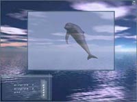 Flash-фантазия Мечты о дельфинах