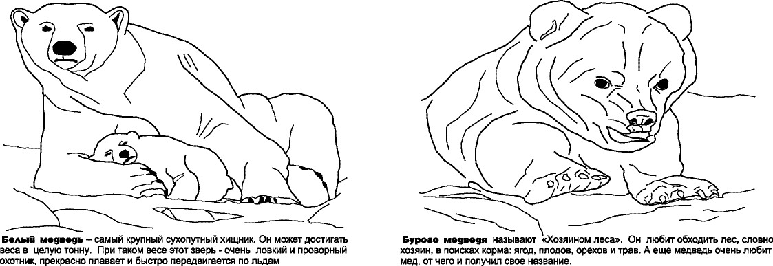 Раскрашка WWF2