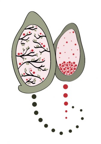 иллюстрация для чашки2-)