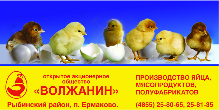 брандмауэр 3х6