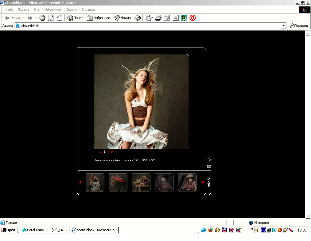 Дизайн флеш-сайта