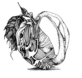 Иллюстрации к книгам "Красный квадрат" и "Арабески&quot