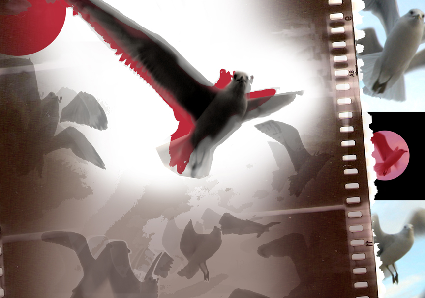 плакат "Черно-белое кино"