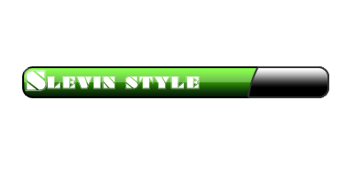 Slev1n_style_2