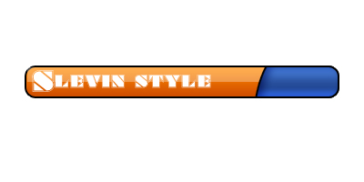 Slev1n_style