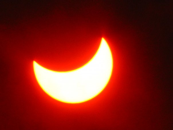 прикрепленный файл