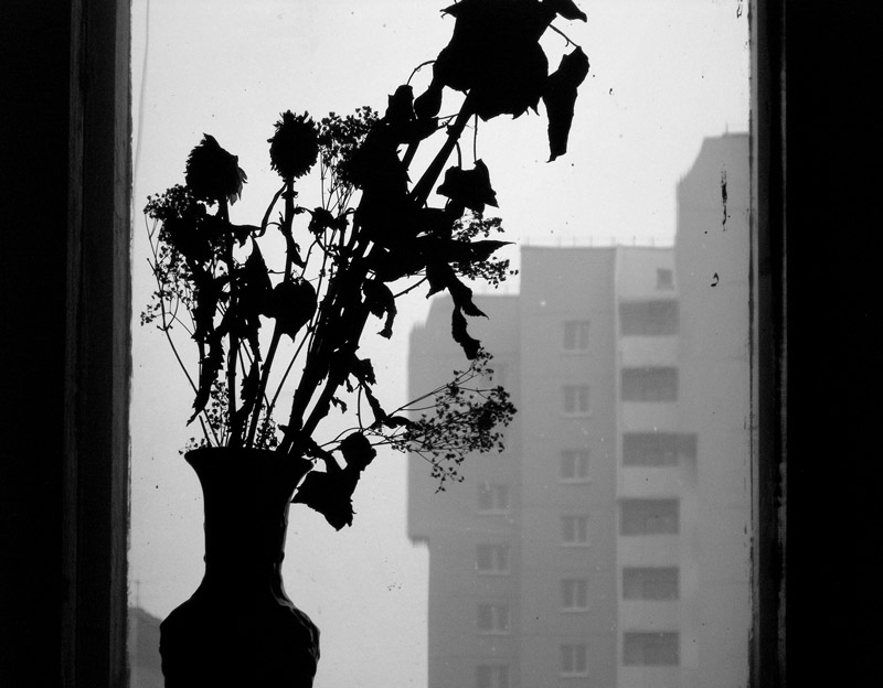 Забытый букет