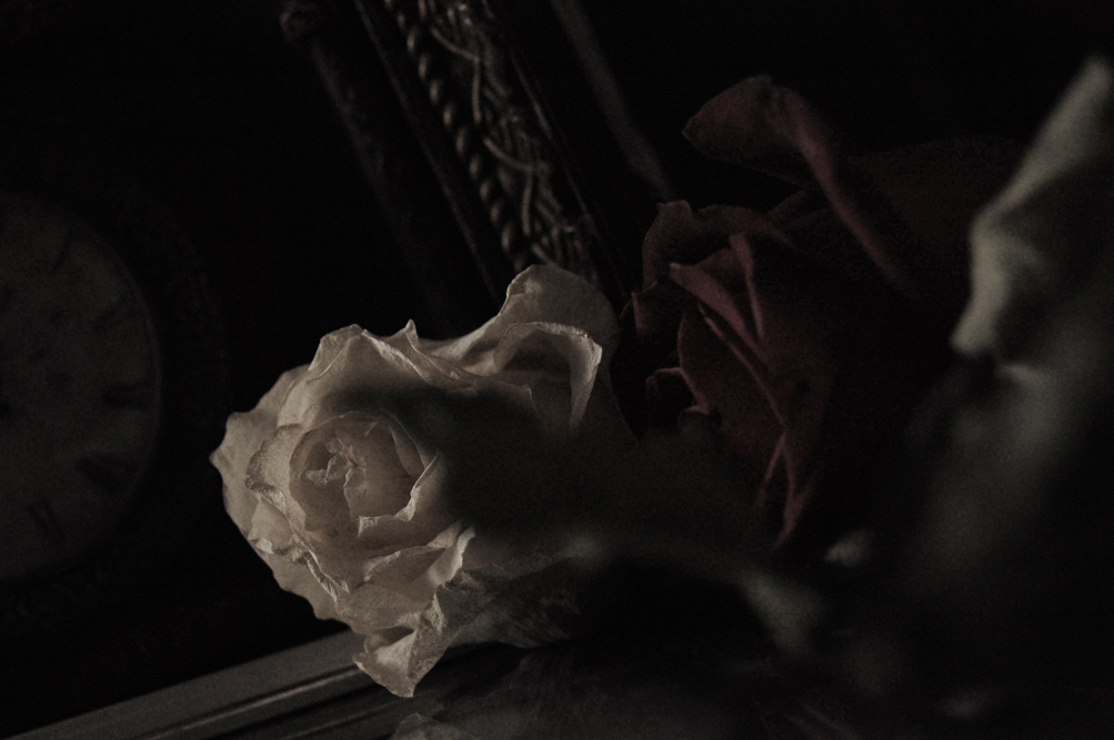 в мире грёз