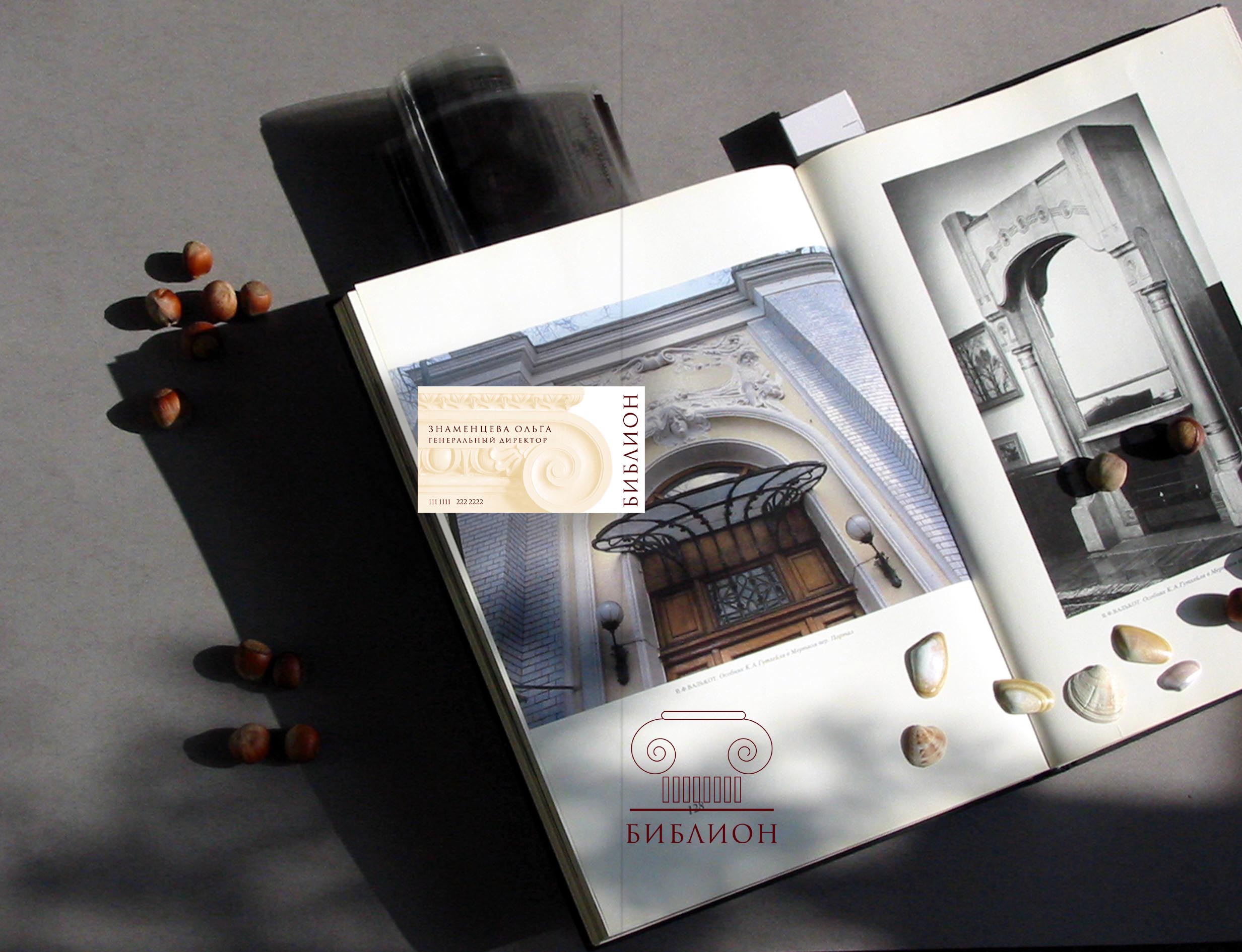 разработка логотипа и визитки