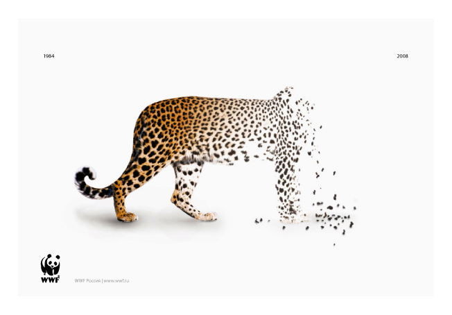 Вымирающие кошечки