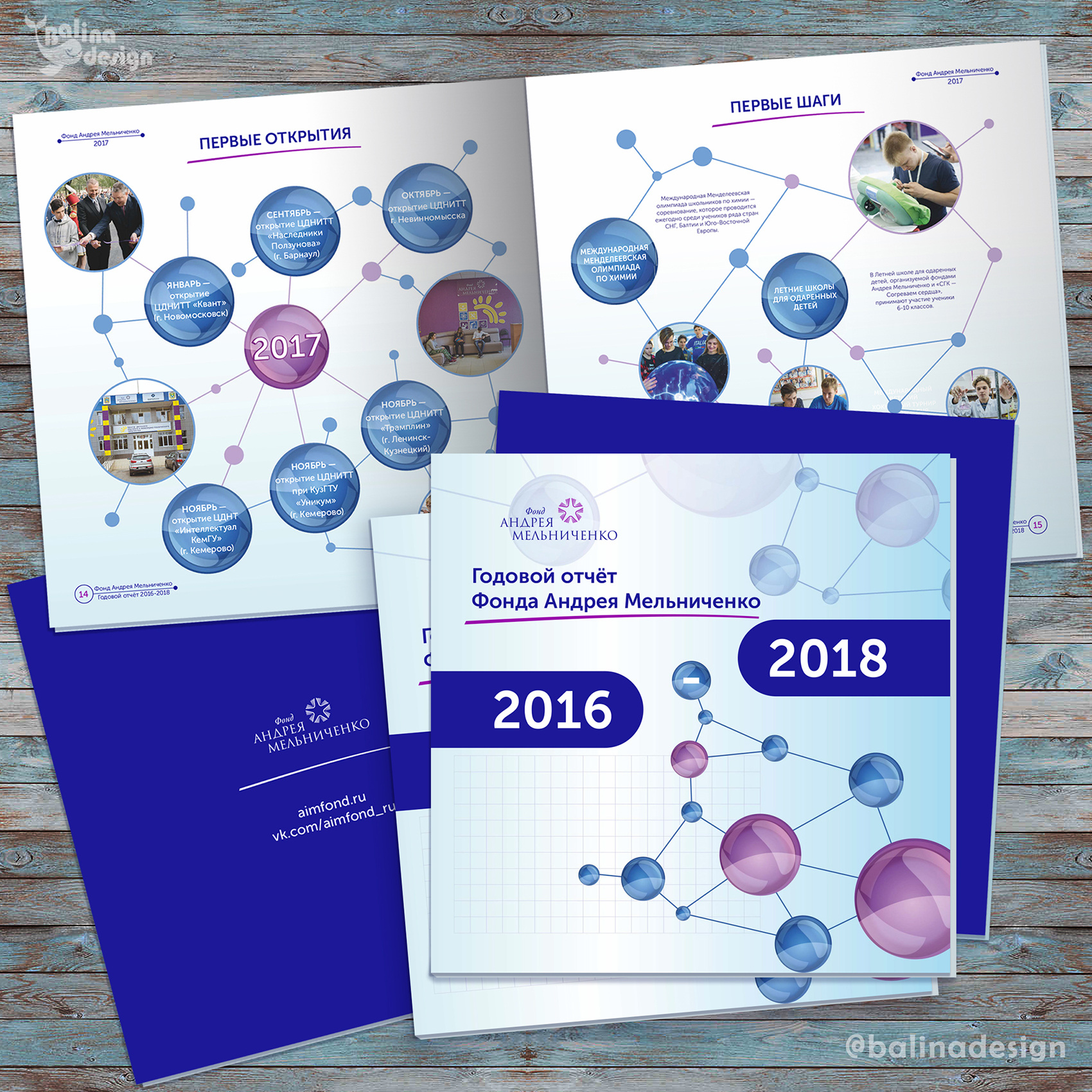 Дизайн и вёрстка буклета для Фонда Андрея Мельниченко.