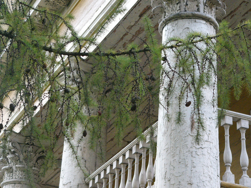 Коринфский орден