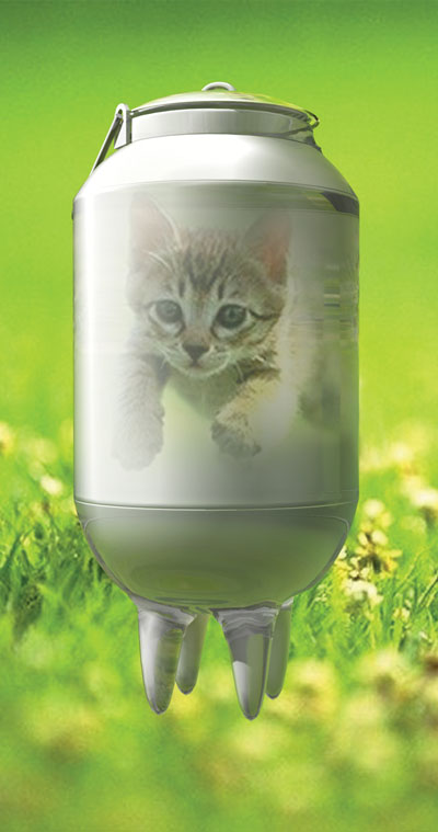 для молочного магазина