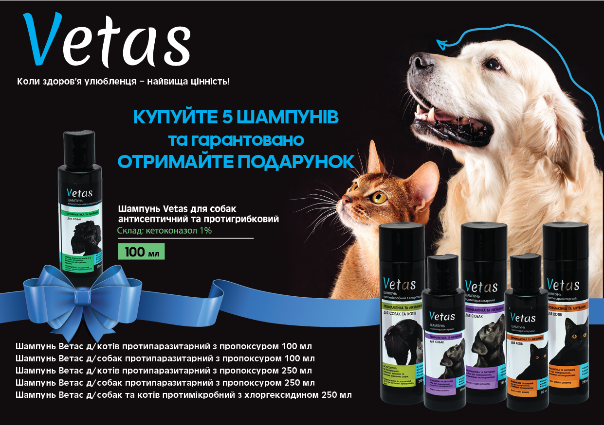 рекламная листовка