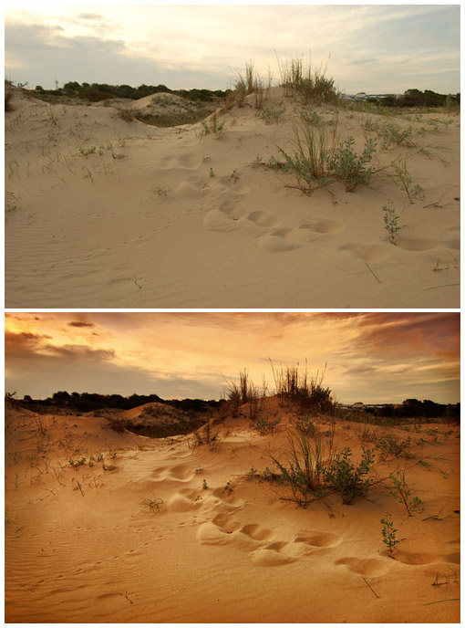 Цветокоррекция и художественная обработка фотографии