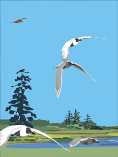 Gif-анимация "птицы"