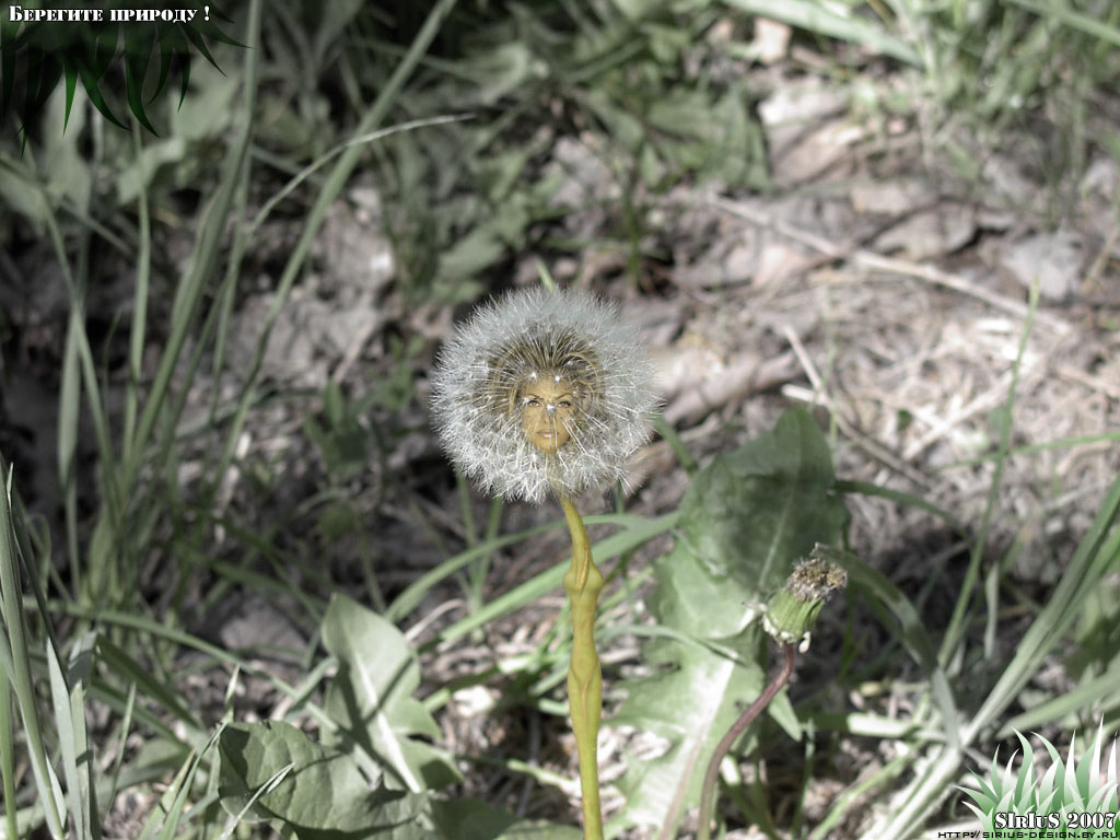 Фото коллаж