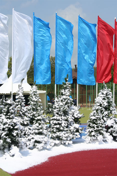 оформление  мероприятия "праздник российского биатлона"