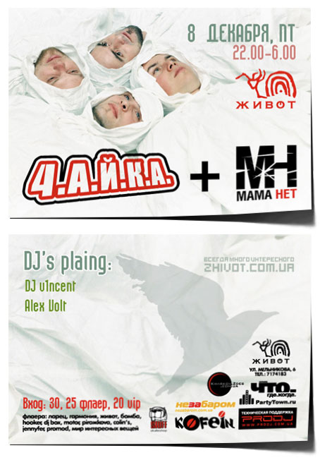 Флаер Чайка