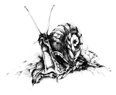 Иллюстрации к книгам "Красный квадрат" и "Арабески&quot