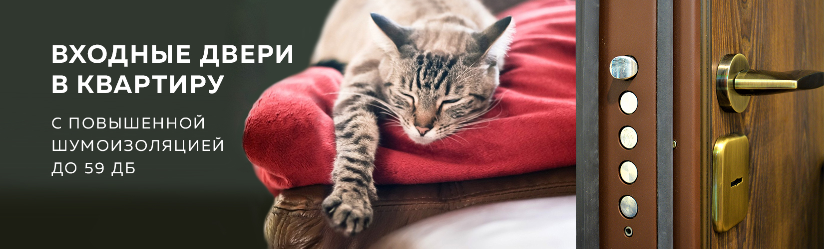 Заставка в шапку сайта "Двери" (для VBI), 2019 г.