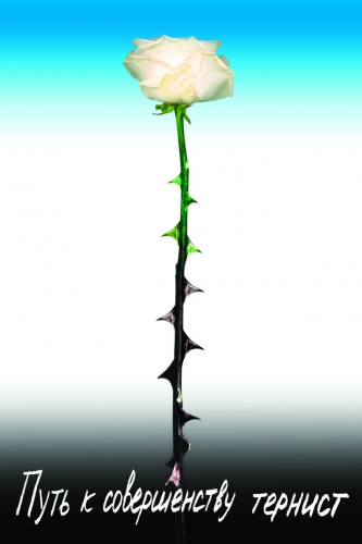 "Путь к совершенству тернист"