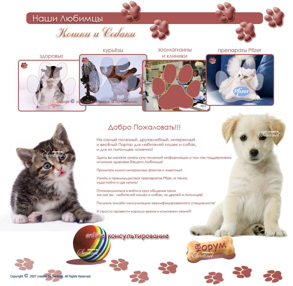 Дизайн сайта "Наши Любимцы" (про кошек и собак)