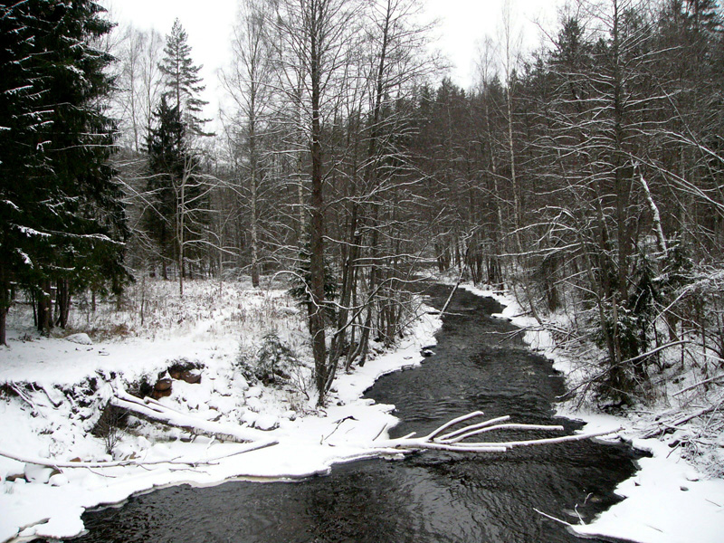 Зимний пейзаж