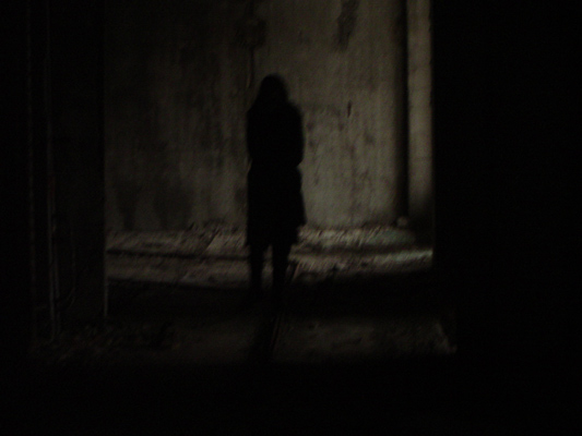 Rustles of an abandoned house