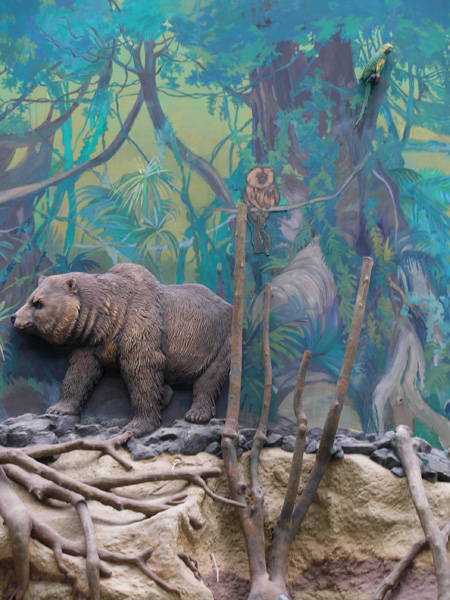 Аквапарк "Джунгли"