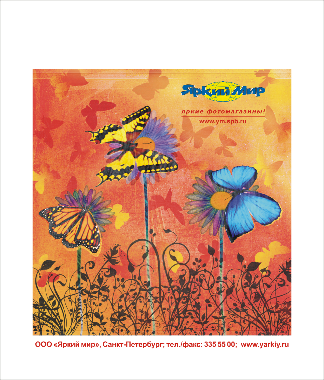 Пакет "Яркий мир"