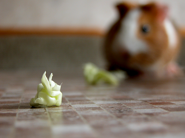 Капустная дорожка