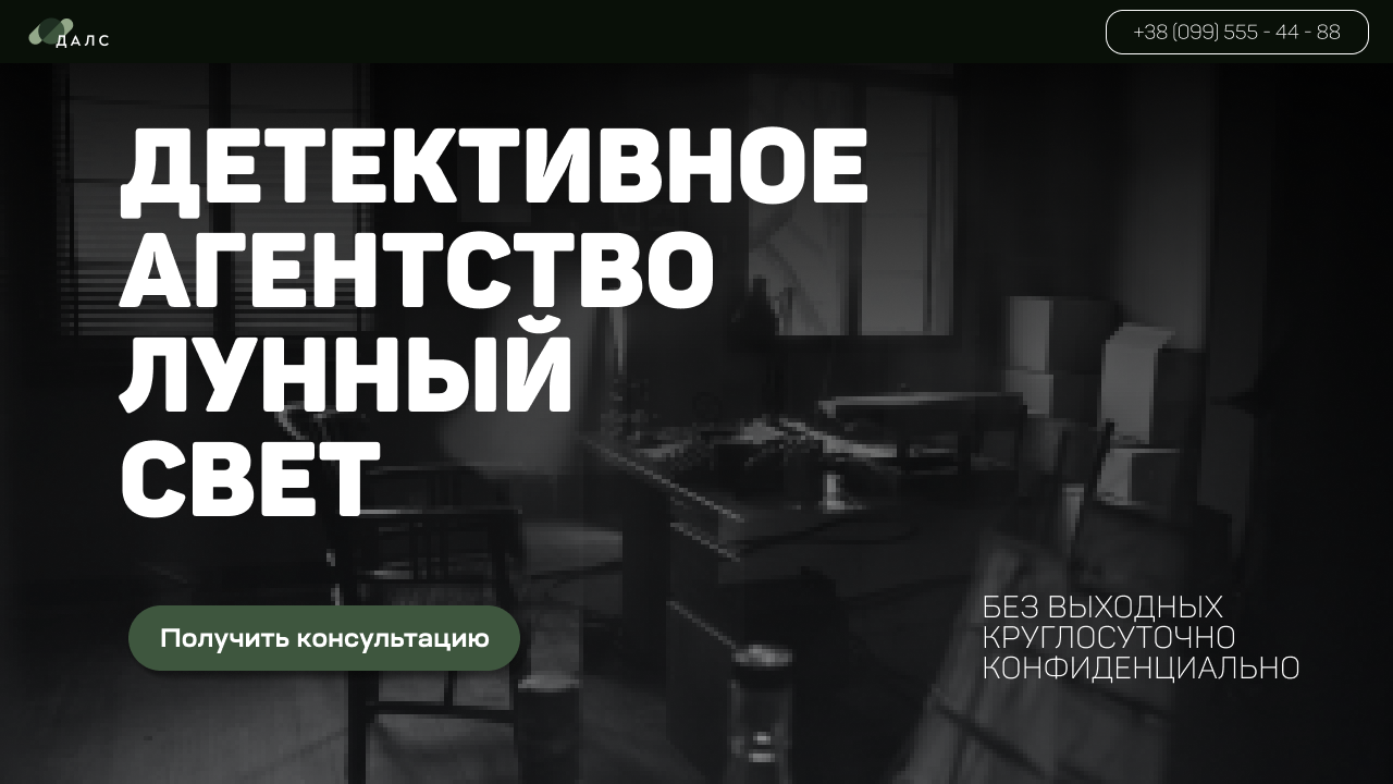 Landing page. Детективное Агенство Лунный Свет