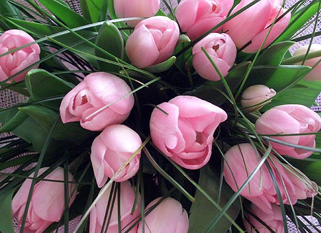 прикрепленный файл