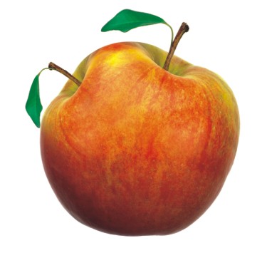 компания "Потенциал MD"