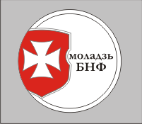 Значок для молодёжной организации