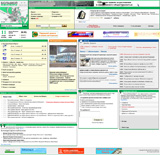 Интернет портал "Большой Новосибирск"