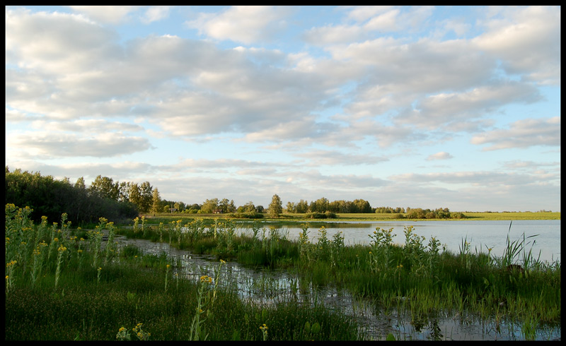 родные просторы