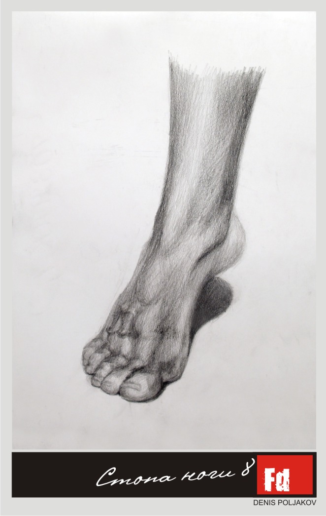 Стопа ноги 8