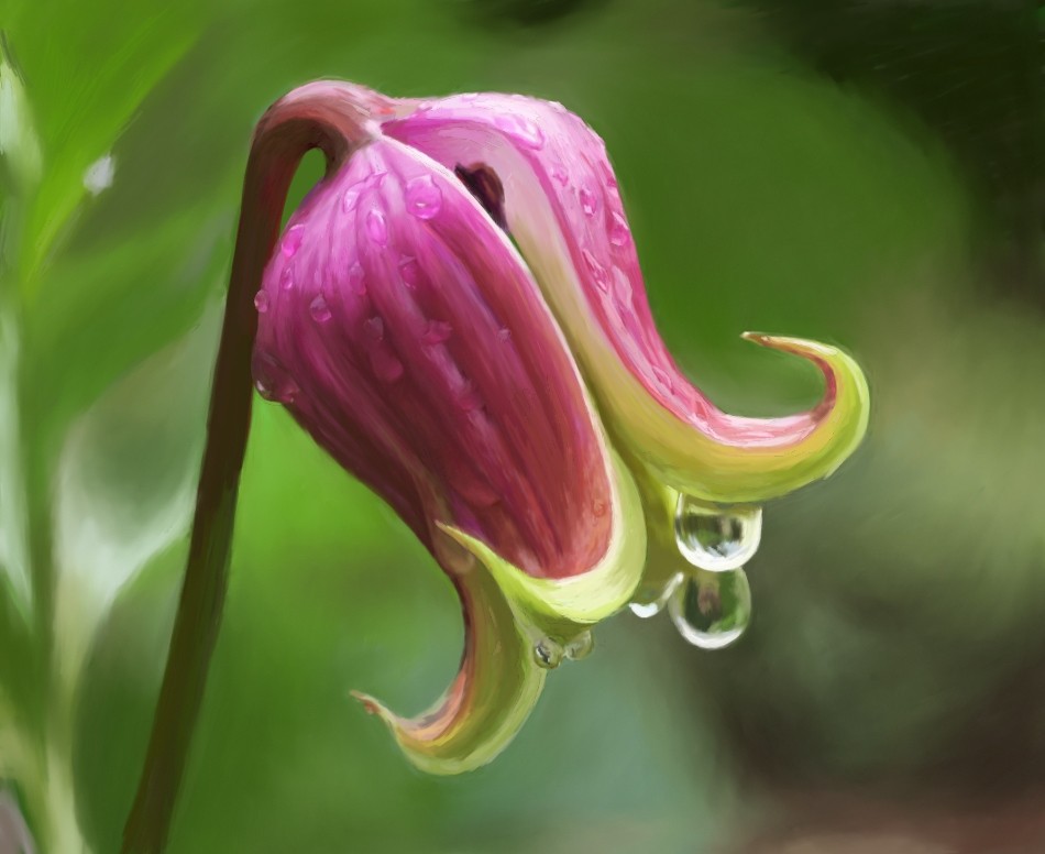 В нашем саду