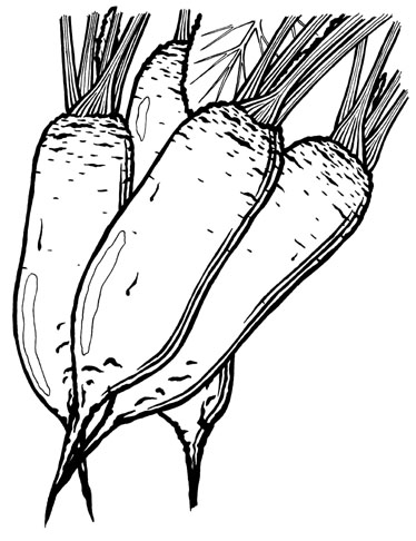 рисунок тушью