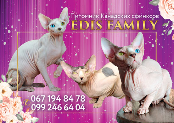 Календарик