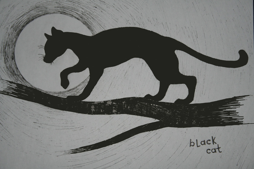 Black cat