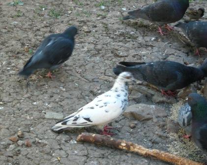 Не как все...