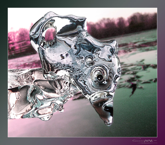 а может быть ворона