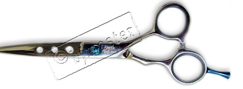 Прикреплённый файл