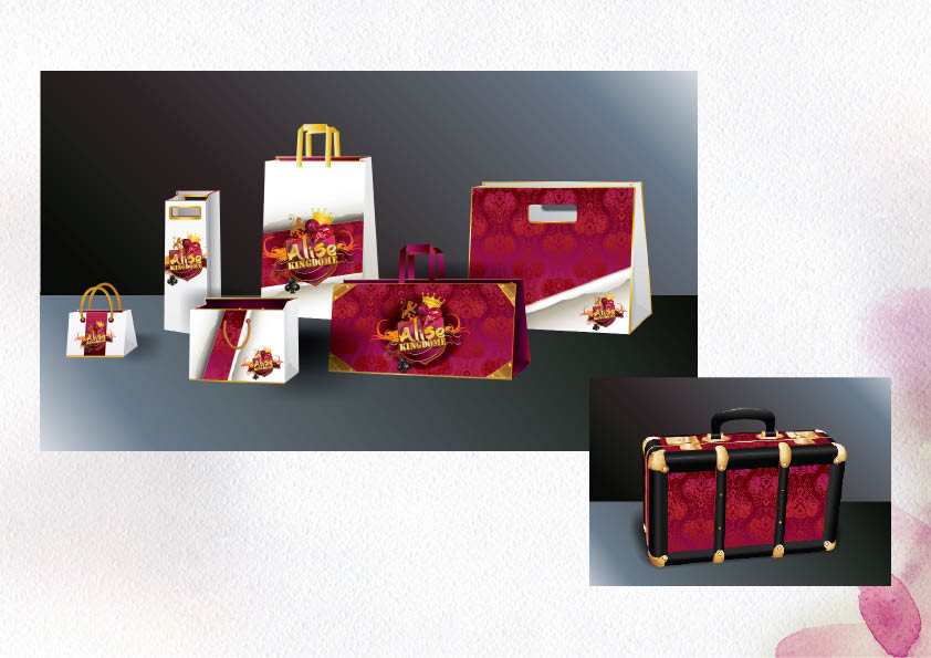 Упаковка для дипломного проета. Январь 2009