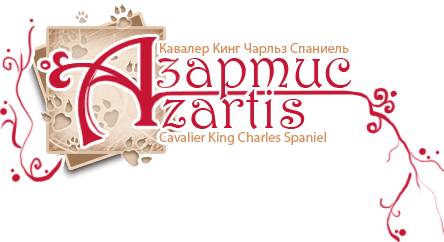 Для сайта Азартис